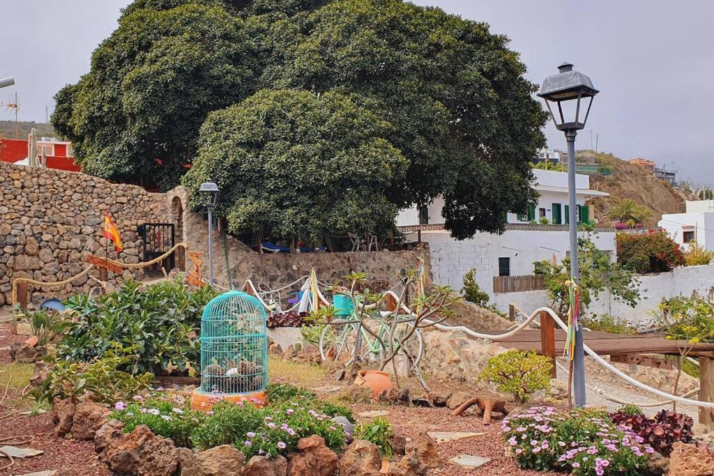 La Bodeguita Apartamento Santo Domingo La Guancha 外观 照片